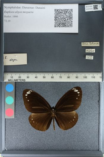 Media type: image;   Entomology 161016